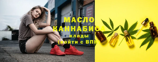 молекула духа Богородск