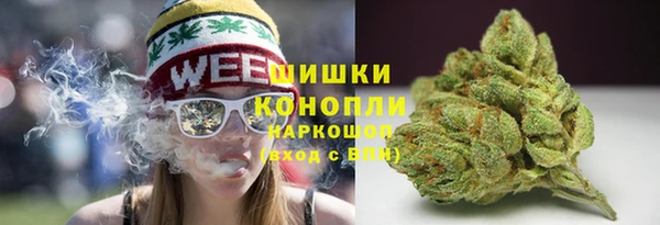 молекула духа Богородск