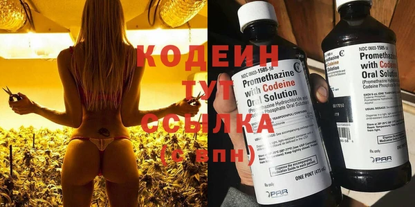 трава Богородицк
