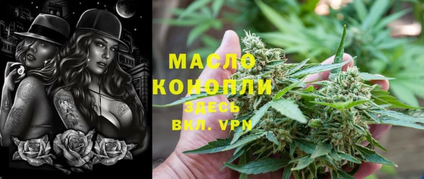 молекула духа Богородск