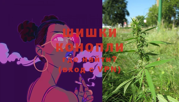 молекула духа Богородск