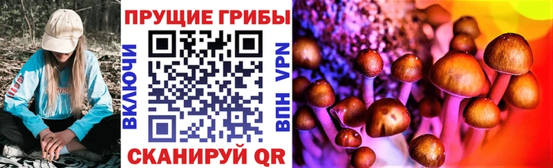 Псилоцибиновые грибы прущие грибы  Великий Устюг 