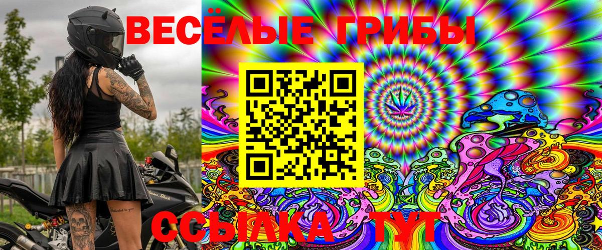 Псилоцибиновые грибы Magic Shrooms  Великий Устюг 