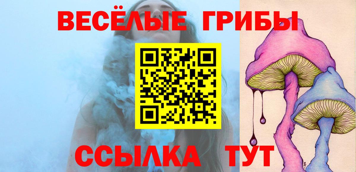Псилоцибиновые грибы Psilocybine cubensis Великий Устюг
